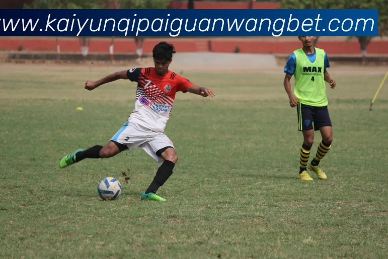 开云棋牌APP 封面图